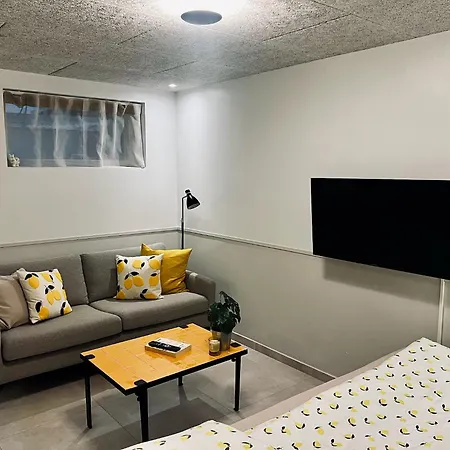 New Cozy Basement *