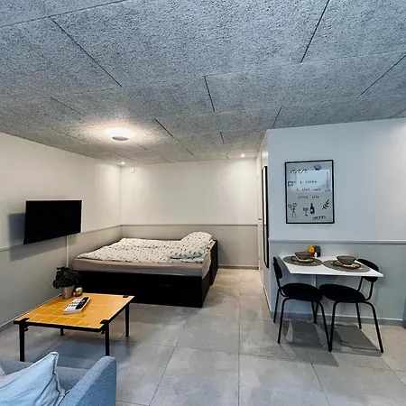 New Cozy Basement Rodovre